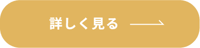 詳しく見る